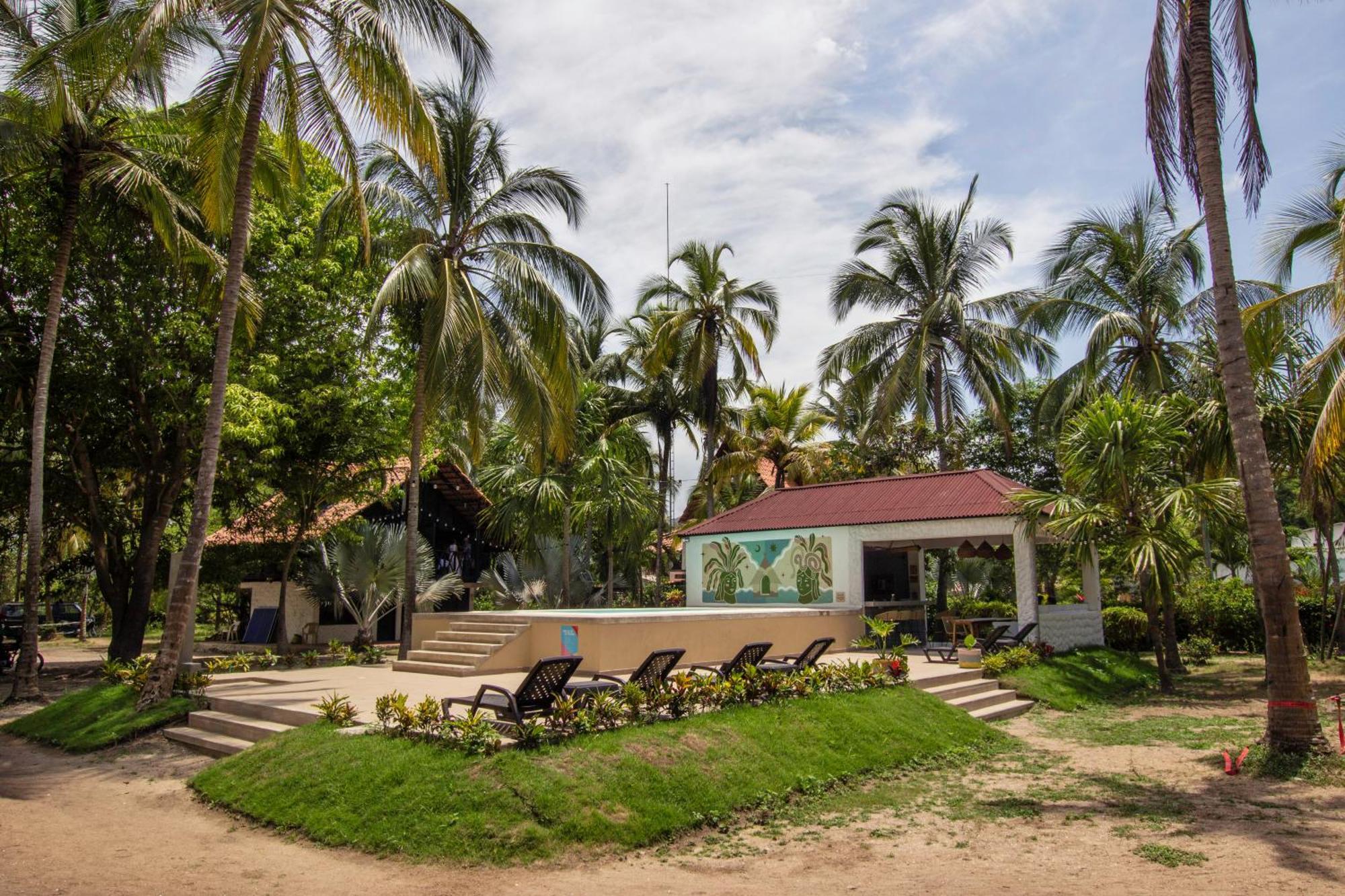 Socialtel Palomino - Formerly Selina Palomino Luaran gambar